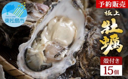 【2025シーズン受付開始！】 11月中旬から順次発送予定 宮城県 奥松島産 極上 旨 牡蠣 15個（殻付き）加熱用 殻付き かき 牡蠣 カキ 極上殻付き牡蠣