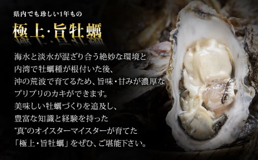 【2025シーズン受付開始！】 11月中旬から順次発送予定 宮城県 奥松島産 極上 旨 牡蠣 15個（殻付き）加熱用 殻付き かき 牡蠣 カキ 極上殻付き牡蠣