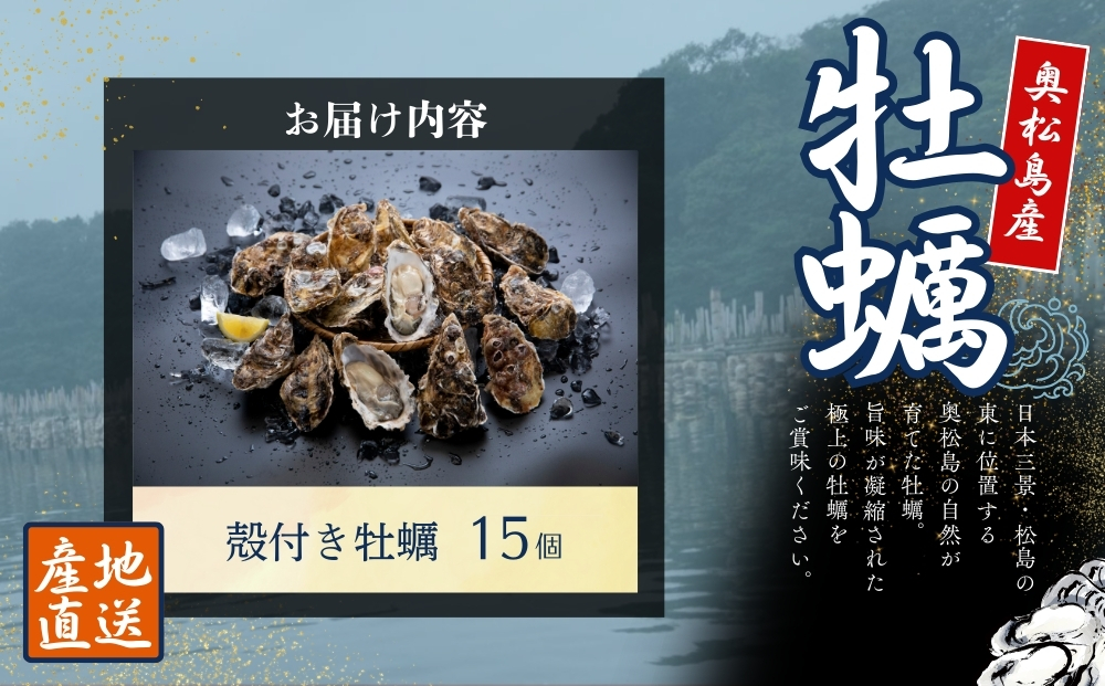 【2025シーズン受付開始！】 11月中旬から順次発送予定 宮城県 奥松島産 極上 旨 牡蠣 15個（殻付き）加熱用 殻付き かき 牡蠣 カキ 極上殻付き牡蠣