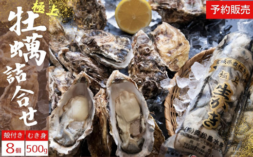 【2025シーズン受付開始！】11月中旬から順次発送予定 奥松島産 極上 カキ詰合せ カキむき身500g1本＋殻付きカキ8個 牡蠣 かき カキ 殻付き牡蠣 剥き身