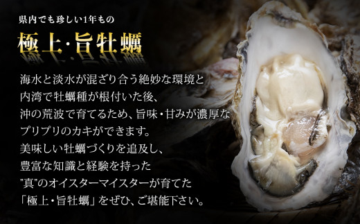 縲2025繧キ繝シ繧コ繝ウ蜿嶺サ倬幕蟋具シ√11譛井クュ譌ャ縺九i鬆谺。逋コ騾∽コ亥ョ 螂・譚セ蟲カ逕」 讌オ荳 繧ォ繧ュ隧ー蜷医○ 繧ォ繧ュ繧縺崎コォ500g1譛ャシ区ョサ莉倥″繧ォ繧ュ8蛟 迚。陟」 縺九″ 繧ォ繧ュ 谿サ莉倥″迚。陟」 蜑・縺崎コォ