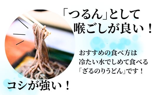 のりうどん 乾麺 5袋 特製つゆ1本付 ふるさと納税限定 10人前 2人前×5袋 海苔 うどん 満点 青空レストラン ちゃんこ萩乃井 常温 ご当地 グルメ ギフト 包装 宮城県 東松島市 オンラインワンストップ 自治体マイページ A