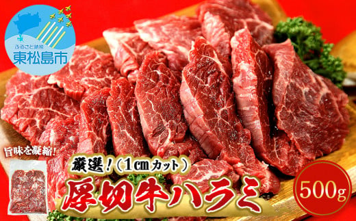 厳選 牛ハラミ 厚切り 500g 味付 急速 冷凍 1cmカット 牛肉 焼肉 バーベキュー ＢＢＱ 宮城県 東松島市 オンラインワンストップ 対応 自治体マイページ 佐利 B