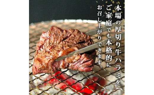 厳選 牛ハラミ 厚切り 500g 味付 急速 冷凍 1cmカット 牛肉 焼肉 バーベキュー ＢＢＱ 宮城県 東松島市 オンラインワンストップ 対応 自治体マイページ 佐利 B