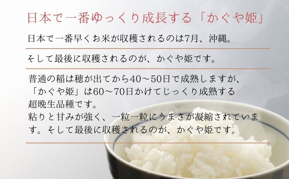 【令和6年産】 新米 宮城県産 超稀少品種 かぐや姫 精米 5kg 宮城県 東松島市 天授のお米 米 白米 こめ 宮城県 東松島市 オンラインワンストップ 対応 自治体マイページ