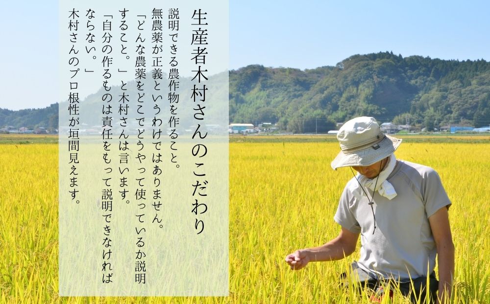 【令和6年産】 新米 宮城県産 超稀少品種 かぐや姫 精米 5kg 宮城県 東松島市 天授のお米 米 白米 こめ 宮城県 東松島市 オンラインワンストップ 対応 自治体マイページ