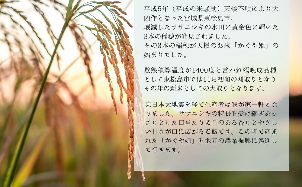 【令和6年産】 新米 宮城県産 超稀少品種 かぐや姫 精米 5kg 宮城県 東松島市 天授のお米 米 白米 こめ 宮城県 東松島市 オンラインワンストップ 対応 自治体マイページ