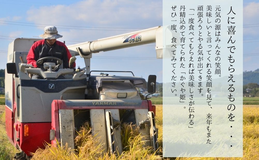 【令和6年産】 新米 宮城県産 超稀少品種 かぐや姫 精米 5kg 宮城県 東松島市 天授のお米 米 白米 こめ 宮城県 東松島市 オンラインワンストップ 対応 自治体マイページ