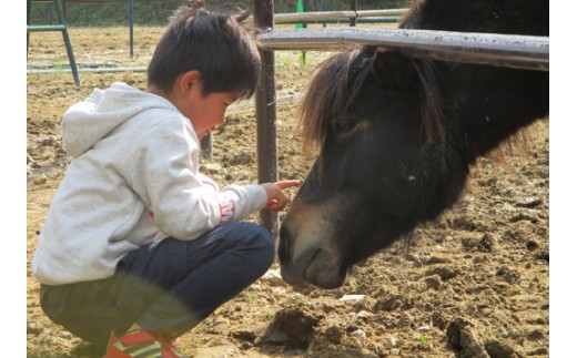 鬥ャ縺ョ縺贋ク冶ゥア菴馴ィ薙→縺オ繧後≠縺荵鈴ヲャ縲舌く繝繧コ縲