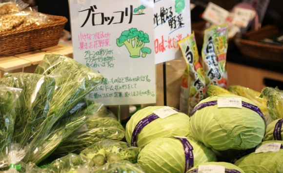 新鮮! 季節の野菜 おまかせ 詰め合わせセット 宮城県 東松島市 朝採り 野菜 産直 産地直送 新鮮 詰合せ オンラインワンストップ 自治体マイページ