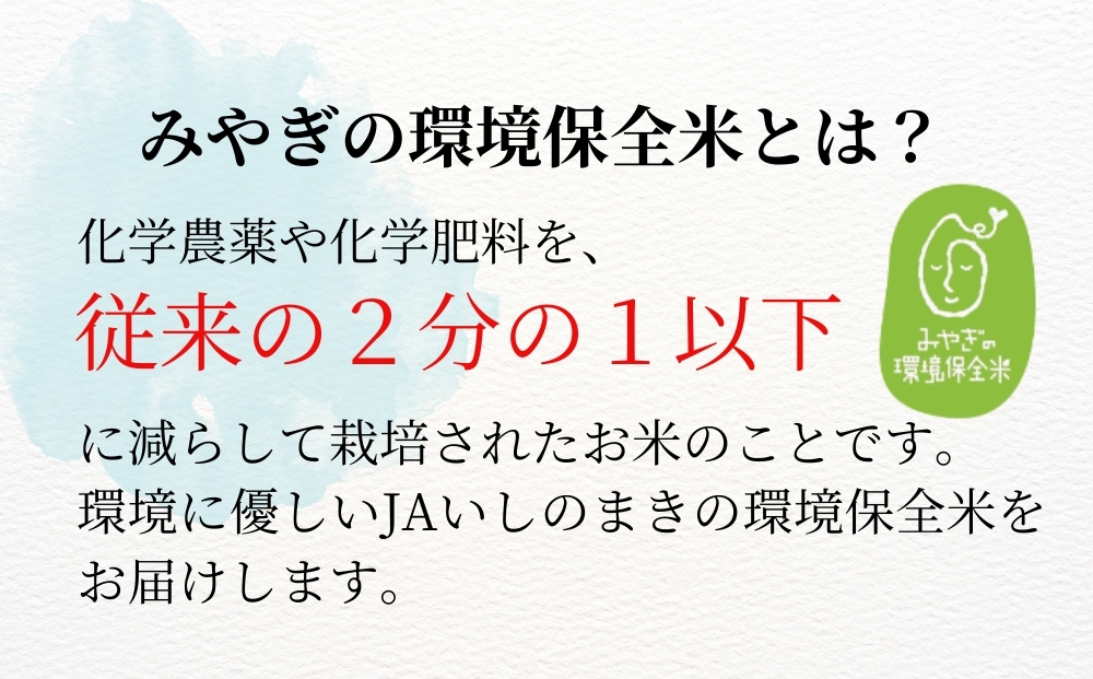 【令和7年産米受付開始！】 【新米】 宮城県産 ササニシキ（精米）3kg 米 ささにしき 東松島市 米 精米 白米 お米 こめ JAいしのまき