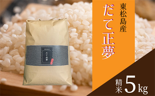 【令和6年産】 【新米】 宮城県産だて正夢（精米）5kg 米 だて正夢 だてまさゆめ ダテマサユメ 宮城県産 東松島市 米 精米 白米 お米 おこめ 5kg オンラインワンストップ 自治体マイページ