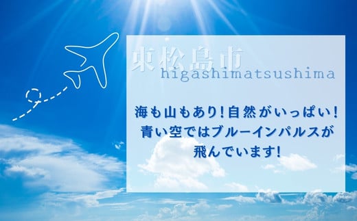 ニンニク好きにおすすめ！ ばくだんにんにく 牛カルビ1kg（ 500g × 2P）6～7人前 タレ漬け 焼肉 牛肉 肉 にく かるび ニンニク にんにく おつまみ  BBQ バーベキュー 宮城県 東松島市 オンラインワンストップ 対応 自治体マイページ 佐利 S