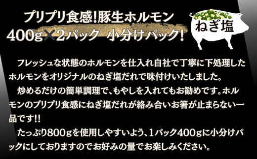 お肉屋さん 自慢の味付け！ 国産 豚 生ホルモン ねぎ塩味 800g（400g×2パック） 冷凍 小分け 味付 簡単 調理 豚ホルモン ブタホルモン ホルモン 焼肉 おつまみ バーベキュー BBQ 宮城県 東松島市 オンラインワンストップ 対応 自治体マイページ 佐利 AA