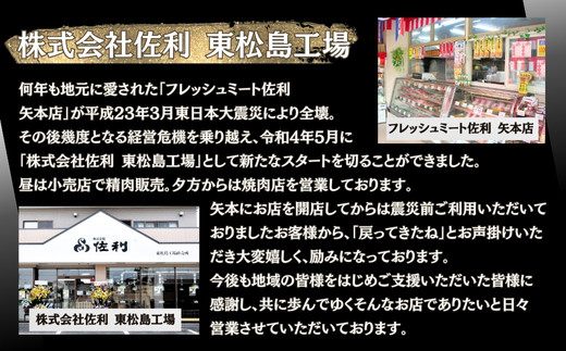 お肉屋さん 自慢の味付け！ 国産 豚 生ホルモン ねぎ塩味 800g（400g×2パック） 冷凍 小分け 味付 簡単 調理 豚ホルモン ブタホルモン ホルモン 焼肉 おつまみ バーベキュー BBQ 宮城県 東松島市 オンラインワンストップ 対応 自治体マイページ 佐利 AA