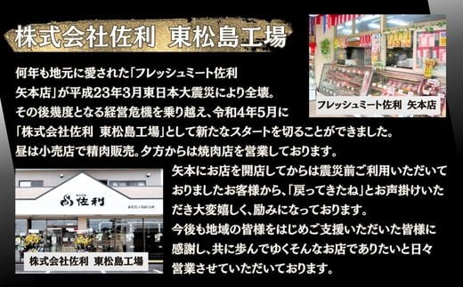 【訳あり】 業務用 薄切り 牛タン 2mmスライス 500g（500g × 1パック） 塩味 牛たん 小分け 牛肉 塩タン ねぎタン スライス  バーベキュー BBQ 焼肉 冷凍 宮城県 東松島市 オンラインワンストップ 対応 佐利 Z