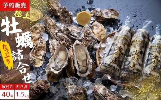 【2025シーズン受付開始！】11月中旬から順次発送予定 奥松島産 極上カキ たっぷり詰合せセット カキむき身500g×3本(計1.5kg)＋殻付きカキ40個 牡蠣 かき カキ 殻付き 剥き身