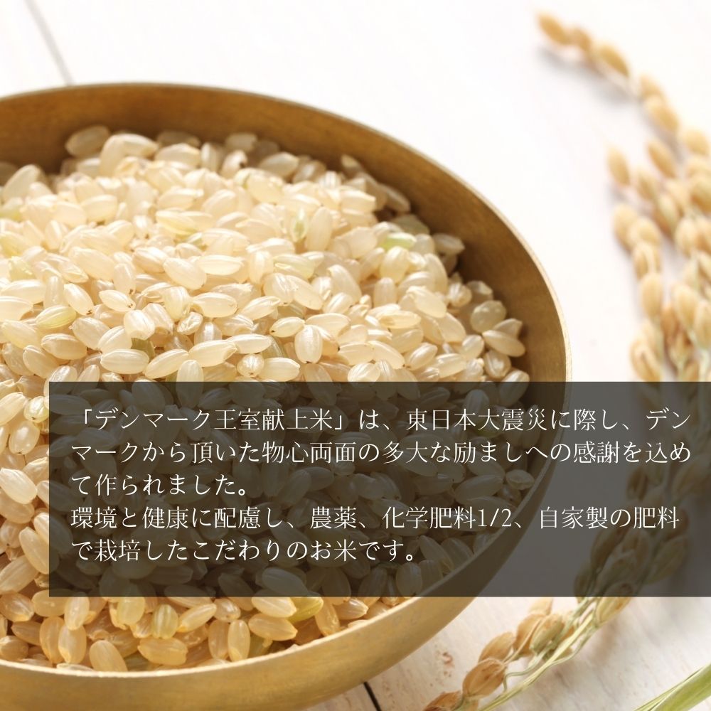 宮城県産 【令和6年産】 【新米】 【デンマーク王室献上米】 特別栽培米 ひとめぼれ 玄米 4.5kg 宮城県 東松島市 単一原料米 一等米 米 こめ おこめ 栽培期間中 化学肥料 減農薬 佐藤農園 オンラインワンストップ