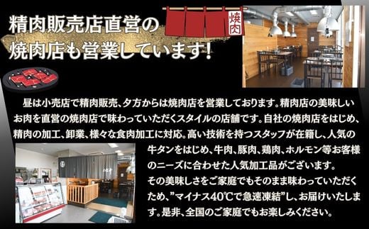 【訳あり】 業務用 薄切り 牛タン 2mmスライス 500g（500g × 1パック） 塩味 牛たん 小分け 牛肉 塩タン ねぎタン スライス  バーベキュー BBQ 焼肉 冷凍 宮城県 東松島市 オンラインワンストップ 対応 佐利 Z