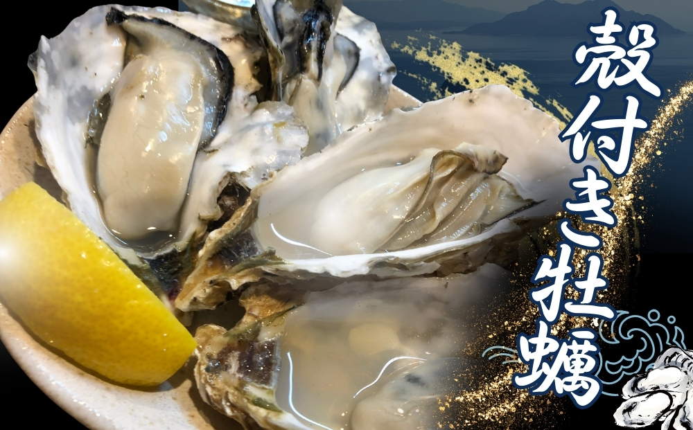 【2025シーズン受付開始！】 11月中旬から順次発送予定 宮城県 奥松島産 極上 旨 牡蠣 15個（殻付き）加熱用 殻付き かき 牡蠣 カキ 極上殻付き牡蠣