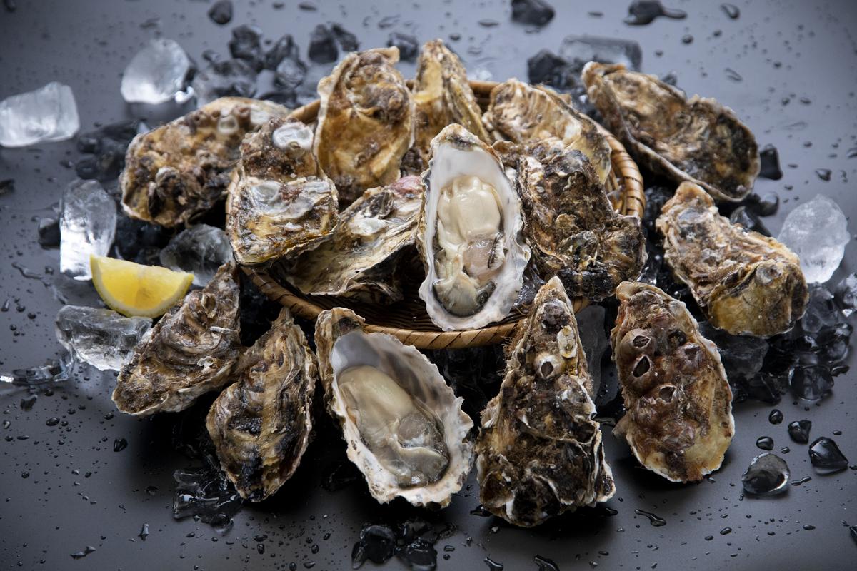 【2025シーズン受付開始！】 11月中旬から順次発送予定 宮城県 奥松島産 極上 旨 牡蠣 15個（殻付き）加熱用 殻付き かき 牡蠣 カキ 極上殻付き牡蠣