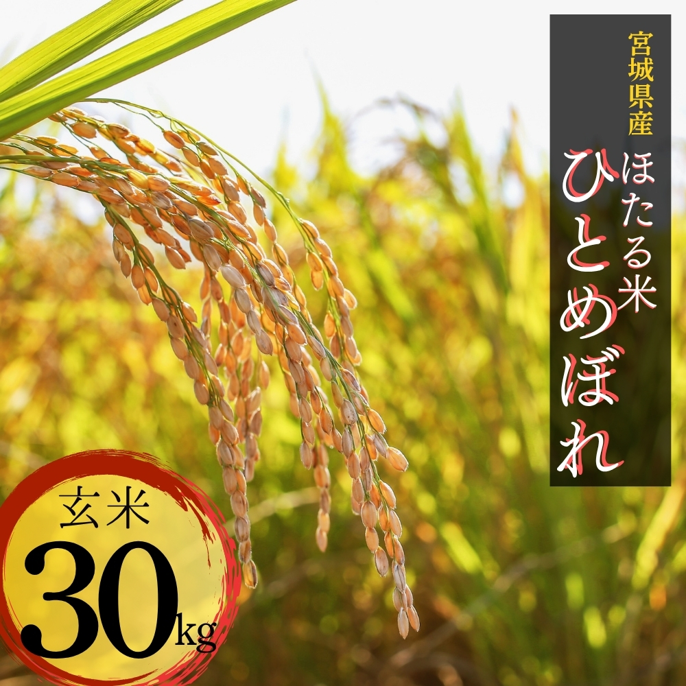 【令和7年産米】ほたる米 ひとめぼれ 玄米 30kg 特別栽培米 宮城県産 お米 ごはん 新米 米 朝ごはん こめ コメ オンラインワンストップ 対応 自治体マイページ 宮城県 みずほファーミング