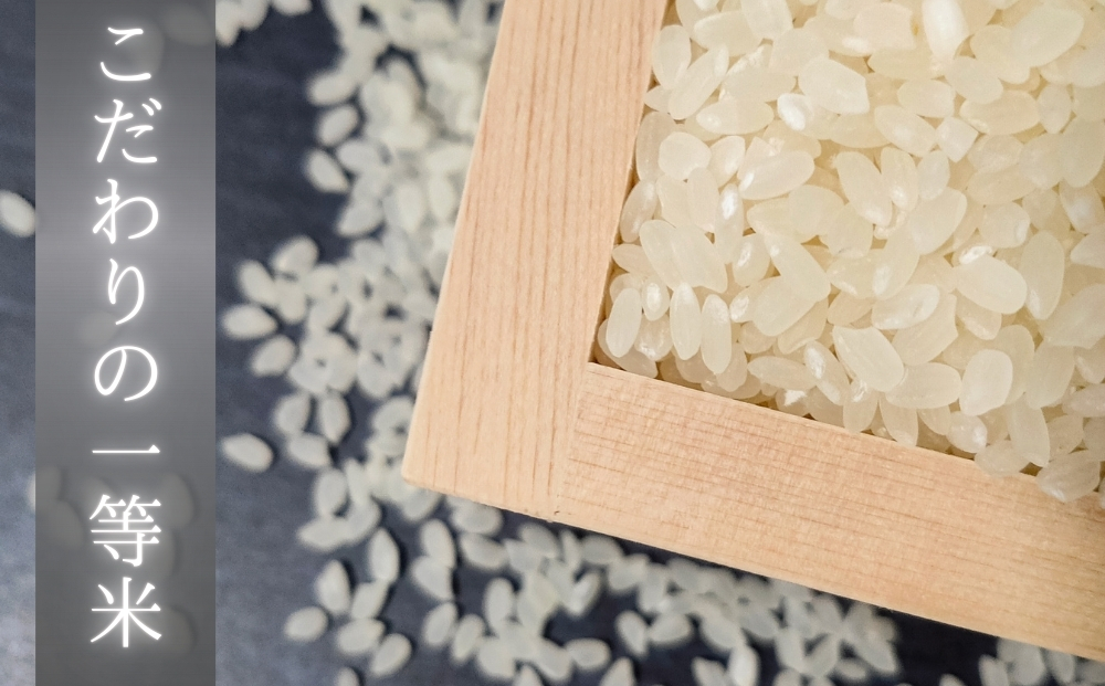 【令和7年産米受付開始！】 【新米】 宮城県産 ササニシキ（精米）3kg 米 ささにしき 東松島市 米 精米 白米 お米 こめ JAいしのまき