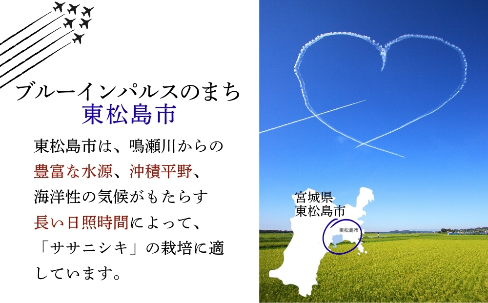 【令和7年産米受付開始！】 【新米】 宮城県産 ササニシキ（精米）5kg 米 ささにしき 東松島市 米 精米 白米 お米 こめ JAいしのまき