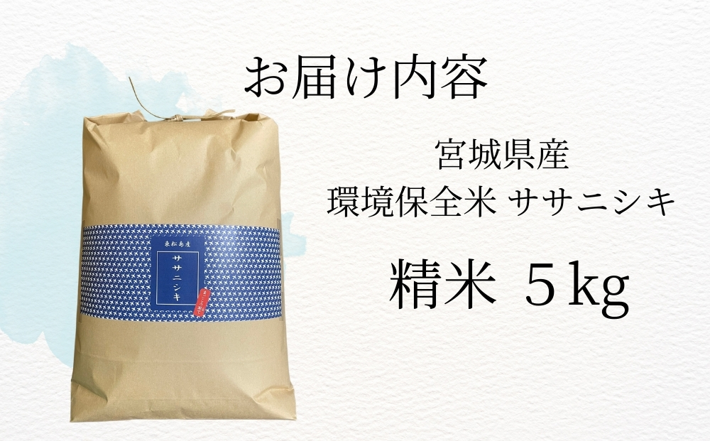 【令和7年産米受付開始！】 【新米】 宮城県産 ササニシキ（精米）5kg 米 ささにしき 東松島市 米 精米 白米 お米 こめ JAいしのまき