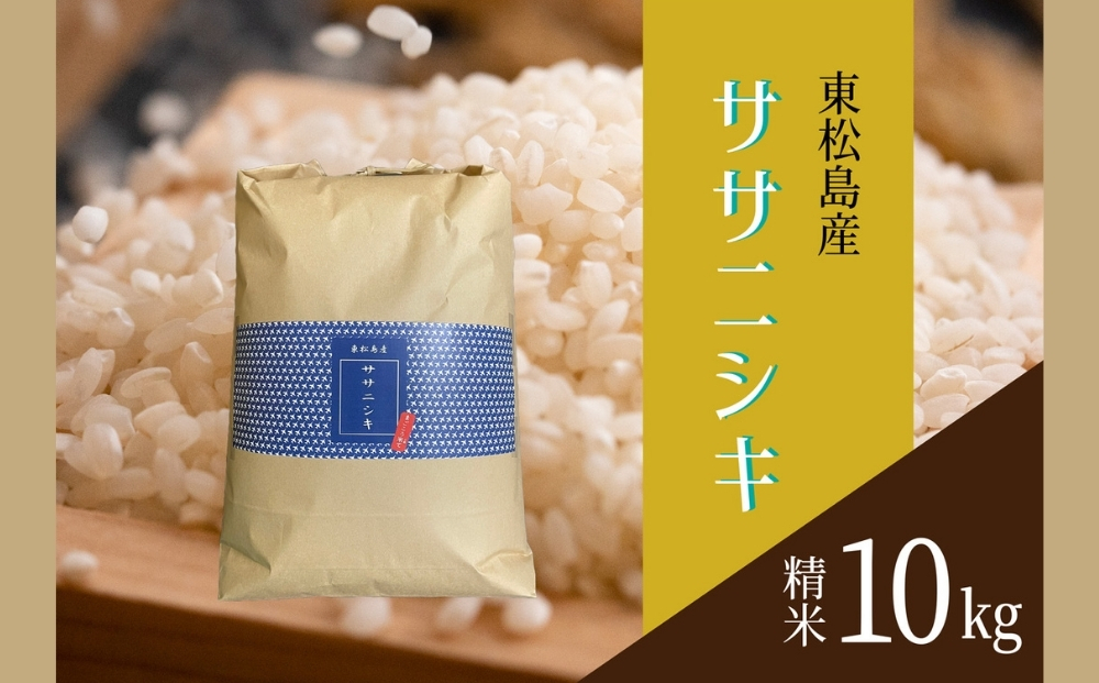 【令和7年産米受付開始！】 【新米】 宮城県産 ササニシキ（精米）10kg 米 ささにしき 東松島市 米 精米 白米 お米 こめ JAいしのまき