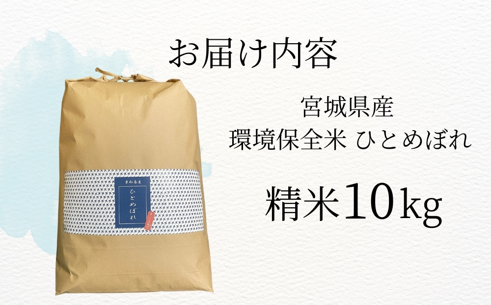 【令和7年産米受付開始！】 【新米】 宮城県産 ひとめぼれ（精米）10kg 米 ヒトメボレ 東松島市 米 精米 白米 お米 こめ JAいしのまき