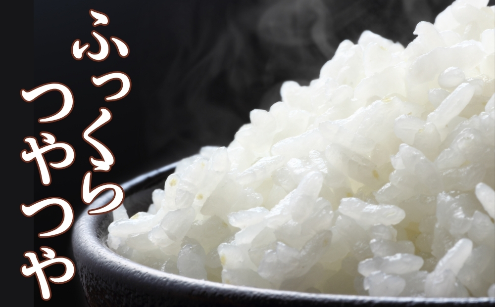 【 令和7年産】【数量限定】【新米】 つや姫 精米 5kg × 1袋 つやひめ 米 ご飯 ごはん おにぎり お弁当 お米 こめ 環境保全米 一等米 宮城県 東松島市 松島農販合同会社オンラインワンストップ 自治体マイページ