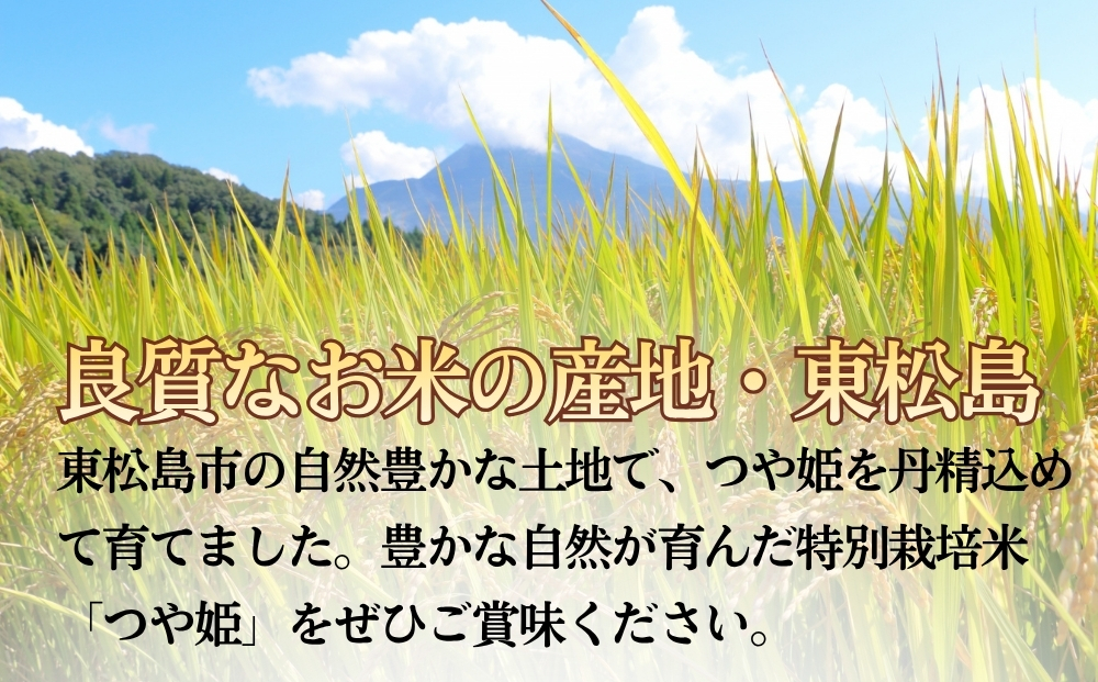 【 令和7年産】【数量限定】【新米】 つや姫 精米 5kg × 1袋 つやひめ 米 ご飯 ごはん おにぎり お弁当 お米 こめ 環境保全米 一等米 宮城県 東松島市 松島農販合同会社オンラインワンストップ 自治体マイページ