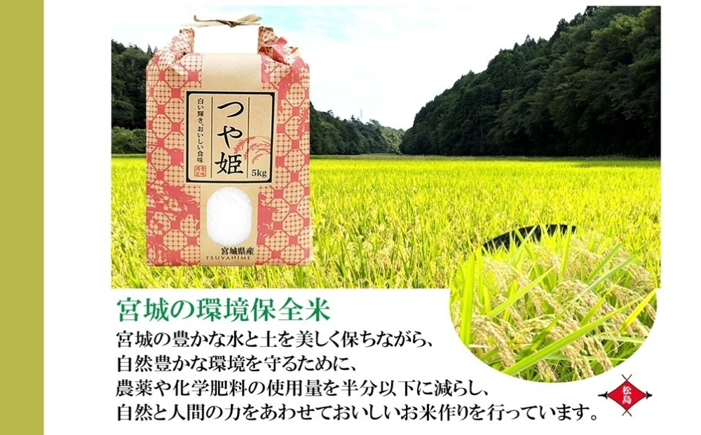 【 令和7年産】【数量限定】【新米】 つや姫 精米 5kg × 1袋 つやひめ 米 ご飯 ごはん おにぎり お弁当 お米 こめ 環境保全米 一等米 宮城県 東松島市 松島農販合同会社オンラインワンストップ 自治体マイページ