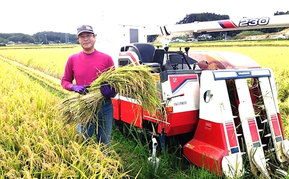 【 令和7年産】【数量限定】【新米】 つや姫 精米 5kg × 1袋 つやひめ 米 ご飯 ごはん おにぎり お弁当 お米 こめ 環境保全米 一等米 宮城県 東松島市 松島農販合同会社オンラインワンストップ 自治体マイページ