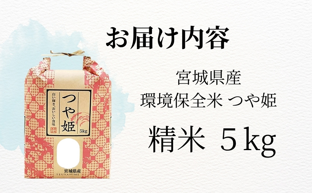 【 令和7年産】【数量限定】【新米】 つや姫 精米 5kg × 1袋 つやひめ 米 ご飯 ごはん おにぎり お弁当 お米 こめ 環境保全米 一等米 宮城県 東松島市 松島農販合同会社オンラインワンストップ 自治体マイページ