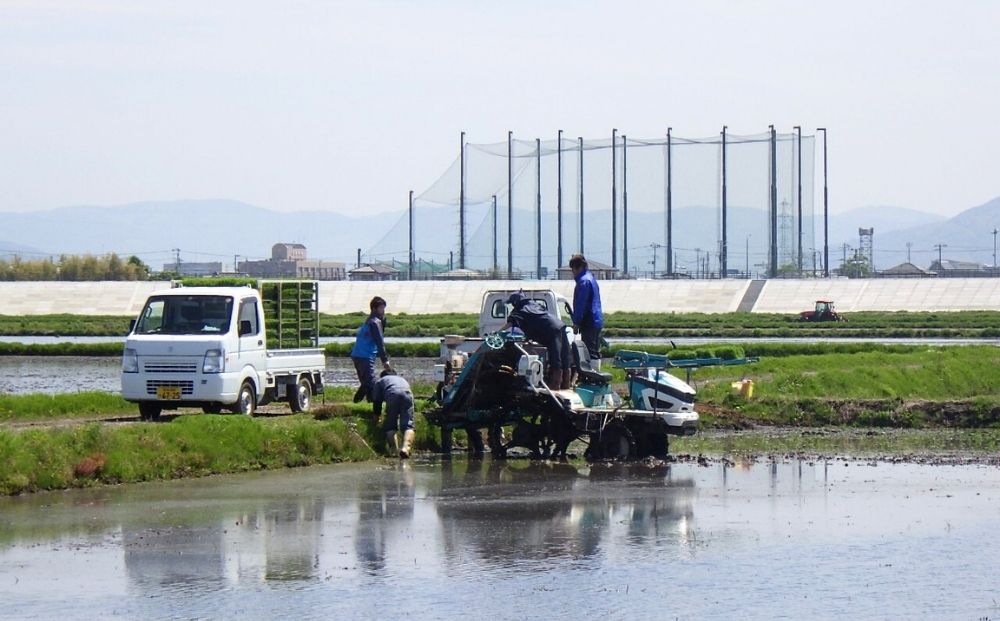 ã 什å7幎ç£ããæ°ç±³ããµãµãã·ã çç±³ 20kg à 1è¢ å®®åçç£æ±æŸå³¶åžèŸ²å®¶çŽé ããã«ãã ç±³ ã飯 ãã¯ã ãã«ãã ãåŒåœ ãç±³ ãã å®®åç æ±æŸå³¶åž ãªã³ã©ã€ã³ã¯ã³ã¹ããã èªæ²»äœãã€ããŒãž