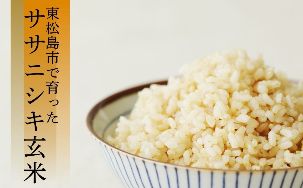 ã 什å7幎ç£ããæ°ç±³ããµãµãã·ã çç±³ 20kg à 1è¢ å®®åçç£æ±æŸå³¶åžèŸ²å®¶çŽé ããã«ãã ç±³ ã飯 ãã¯ã ãã«ãã ãåŒåœ ãç±³ ãã å®®åç æ±æŸå³¶åž ãªã³ã©ã€ã³ã¯ã³ã¹ããã èªæ²»äœãã€ããŒãž