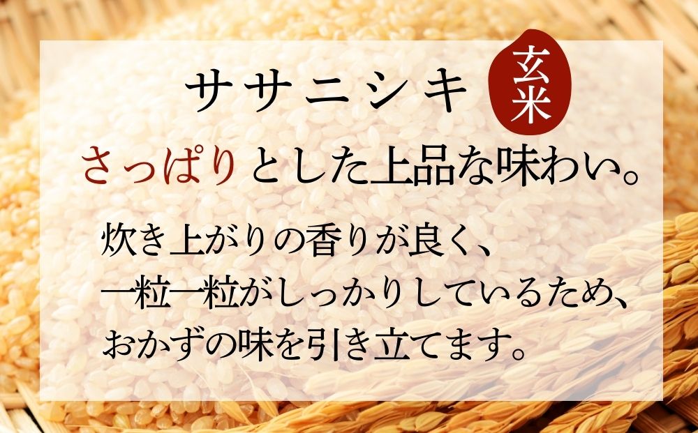 ã 什å7幎ç£ããæ°ç±³ããµãµãã·ã çç±³ 20kg à 1è¢ å®®åçç£æ±æŸå³¶åžèŸ²å®¶çŽé ããã«ãã ç±³ ã飯 ãã¯ã ãã«ãã ãåŒåœ ãç±³ ãã å®®åç æ±æŸå³¶åž ãªã³ã©ã€ã³ã¯ã³ã¹ããã èªæ²»äœãã€ããŒãž