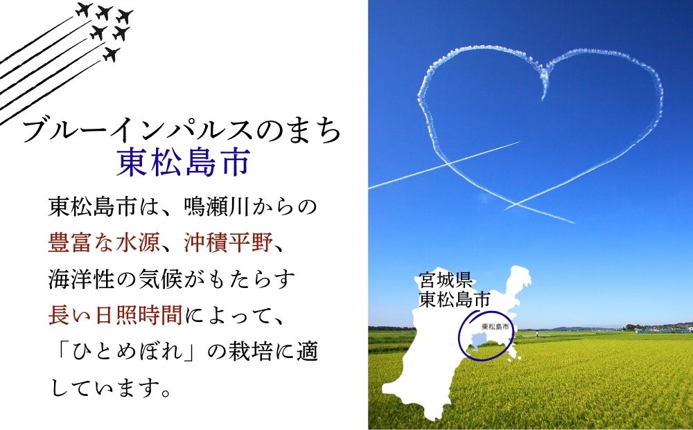 【 令和7年産】【新米】 ひとめぼれ 玄米 20kg × 1袋 宮城県産東松島市農家直送 ヒトメボレ 米 ご飯 ごはん おにぎり お弁当 お米 こめ 宮城県 東松島市 オンラインワンストップ 自治体マイページ