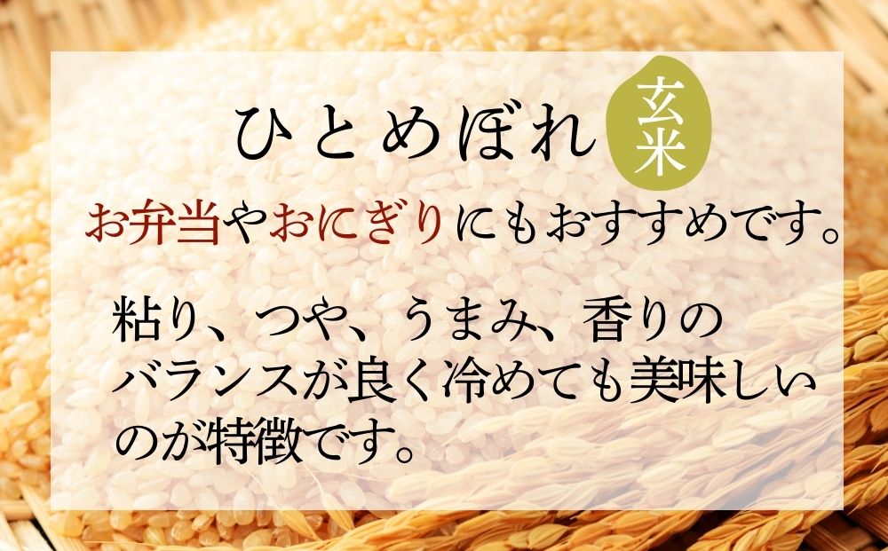 【 令和7年産】【新米】 ひとめぼれ 玄米 20kg × 1袋 宮城県産東松島市農家直送 ヒトメボレ 米 ご飯 ごはん おにぎり お弁当 お米 こめ 宮城県 東松島市 オンラインワンストップ 自治体マイページ