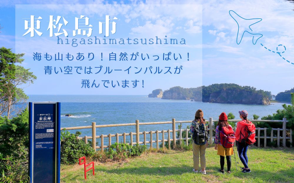【 令和7年産】【新米】 ひとめぼれ 玄米 20kg × 1袋 宮城県産東松島市農家直送 ヒトメボレ 米 ご飯 ごはん おにぎり お弁当 お米 こめ 宮城県 東松島市 オンラインワンストップ 自治体マイページ