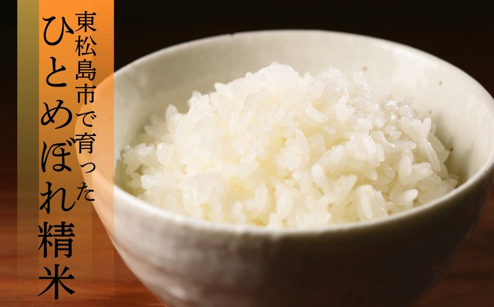 【 令和7年産】【新米】 ひとめぼれ 精米 10kg × 1袋 宮城県産東松島市農家直送 ヒトメボレ 米 ご飯 ごはん おにぎり お弁当 お米 こめ 宮城県 東松島市 オンラインワンストップ 自治体マイページ