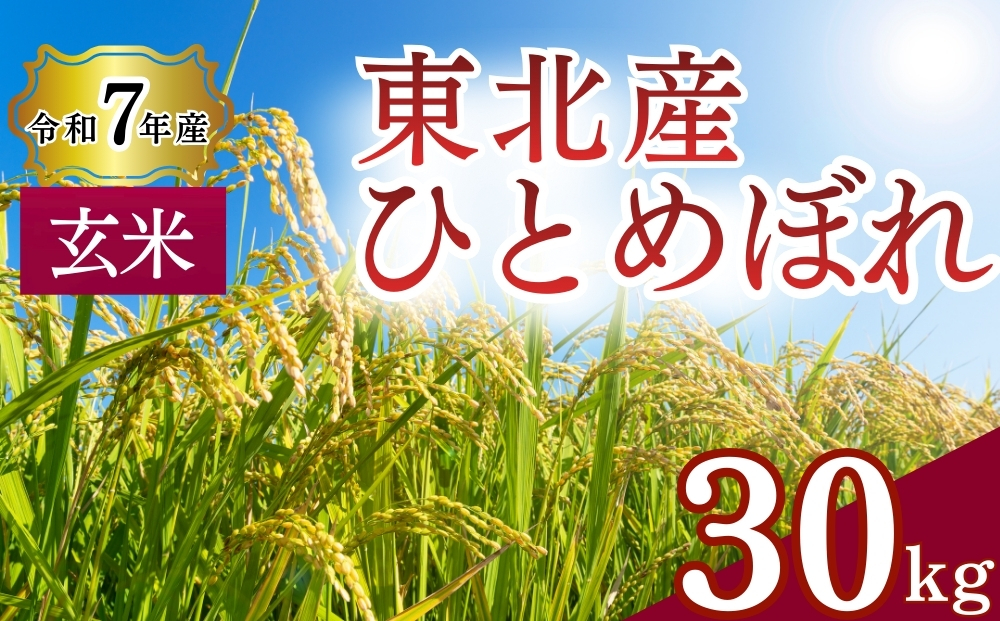 【 令和7年産】 ひとめぼれ 玄米 30kg × 1袋 単一原料米 ヒトメボレ 米 ご飯 ごはん おにぎり お弁当 お米 こめ 宮城県 東松島市 オンラインワンストップ 自治体マイページ