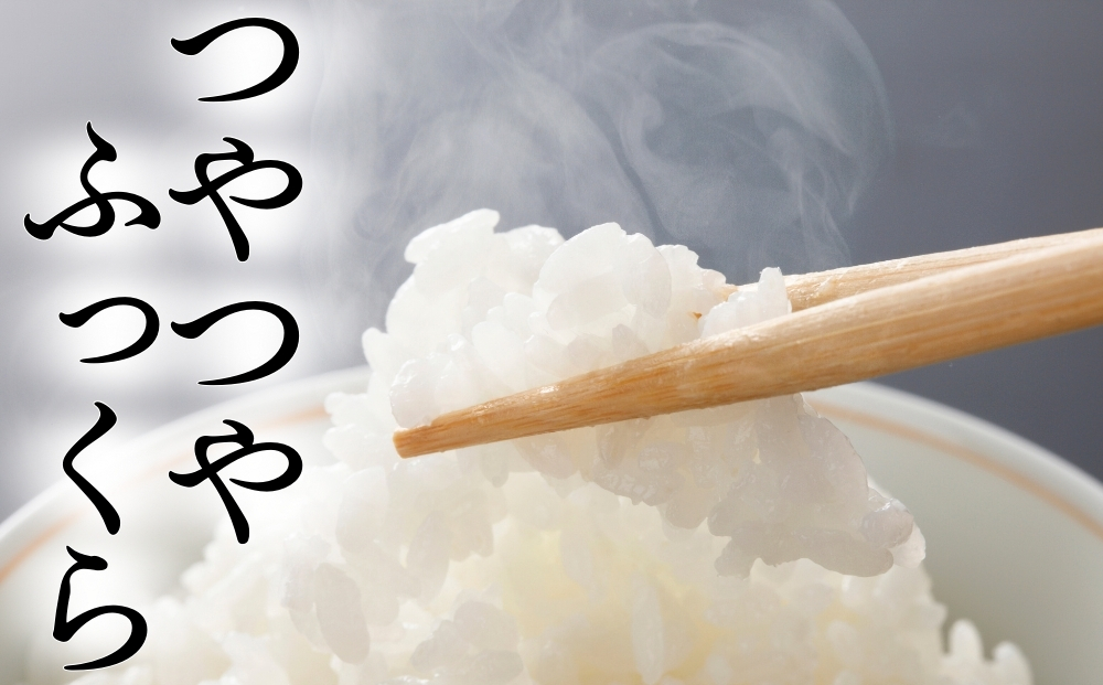 【 令和7年産】 ひとめぼれ 玄米 30kg × 1袋 単一原料米 ヒトメボレ 米 ご飯 ごはん おにぎり お弁当 お米 こめ 宮城県 東松島市 オンラインワンストップ 自治体マイページ