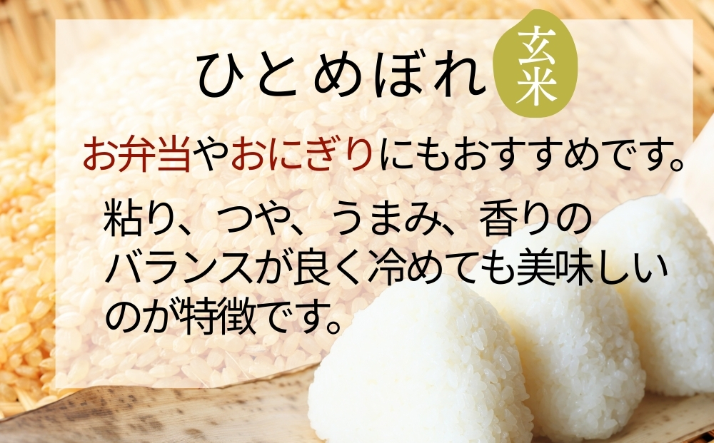 【 令和7年産】 ひとめぼれ 玄米 30kg × 1袋 単一原料米 ヒトメボレ 米 ご飯 ごはん おにぎり お弁当 お米 こめ 宮城県 東松島市 オンラインワンストップ 自治体マイページ