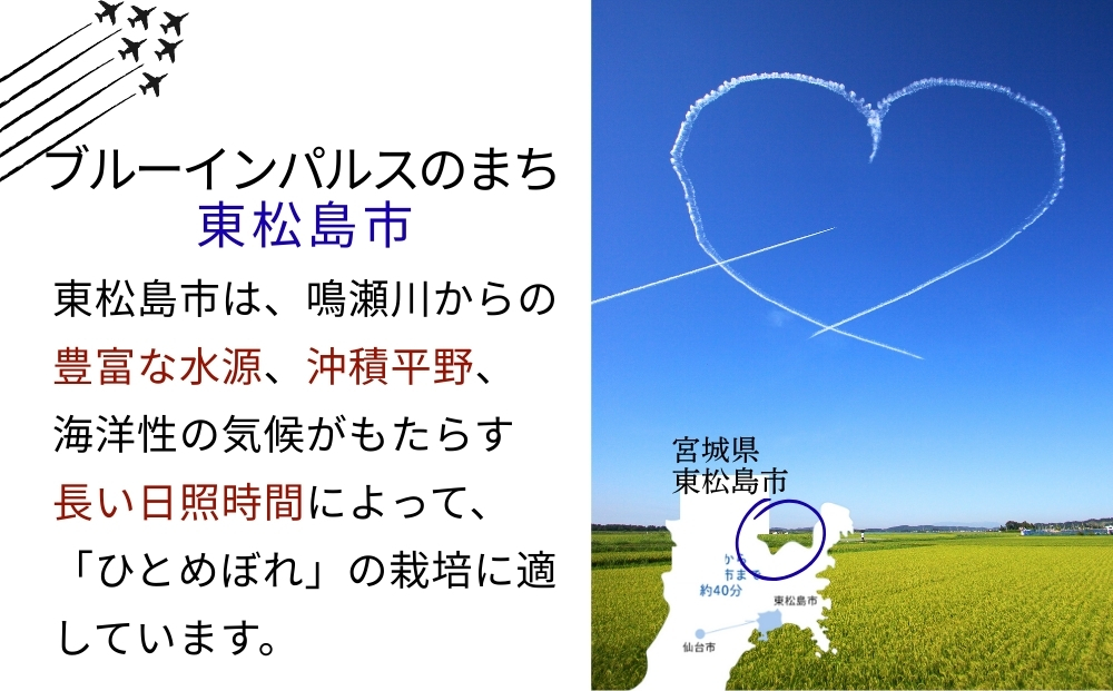 【 令和7年産】 ひとめぼれ 玄米 30kg × 1袋 単一原料米 ヒトメボレ 米 ご飯 ごはん おにぎり お弁当 お米 こめ 宮城県 東松島市 オンラインワンストップ 自治体マイページ