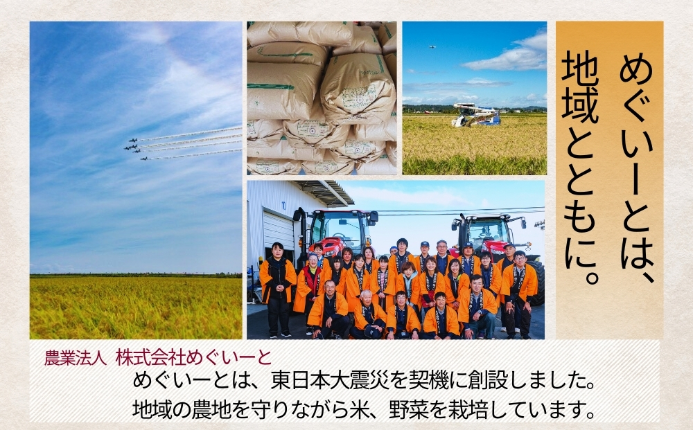 【 令和7年産】 ひとめぼれ 玄米 30kg × 1袋 単一原料米 ヒトメボレ 米 ご飯 ごはん おにぎり お弁当 お米 こめ 宮城県 東松島市 オンラインワンストップ 自治体マイページ