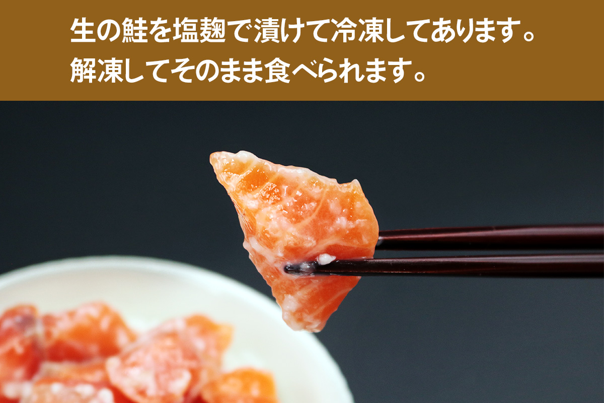 [宮城のブランド銀鮭] ルイベ漬け 塩麹 6パック｜ルイベ るいべ るいべ漬け 冷凍 海鮮 おかず おつまみ サーモン 銀鮭 魚 鮭専門店 銀結び 富谷 国産 宮城 [0369]