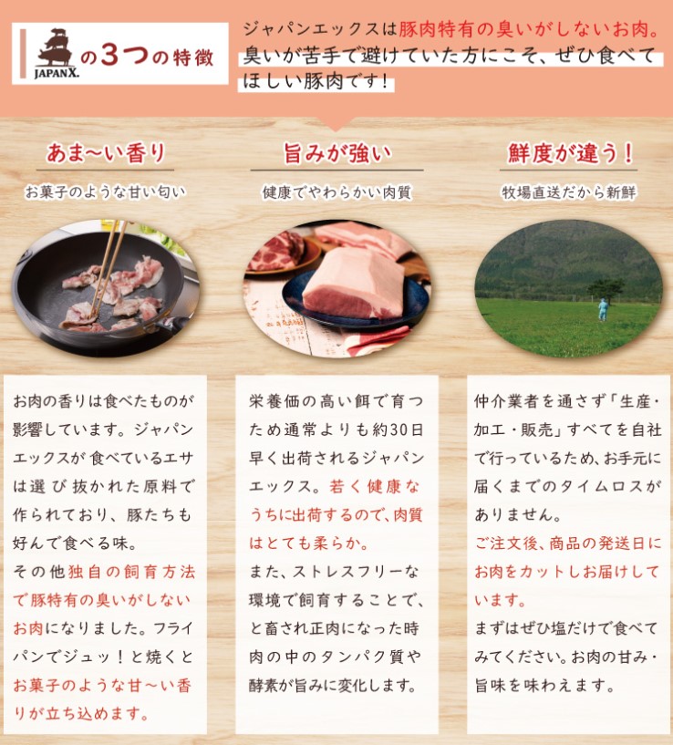 定期便 3ヶ月 JAPAN X 豚肉 ＆ 特選 厚切り 牛タン バラエティ セット 1.7kg ( バラ 肩ロース 小間 牛たん )